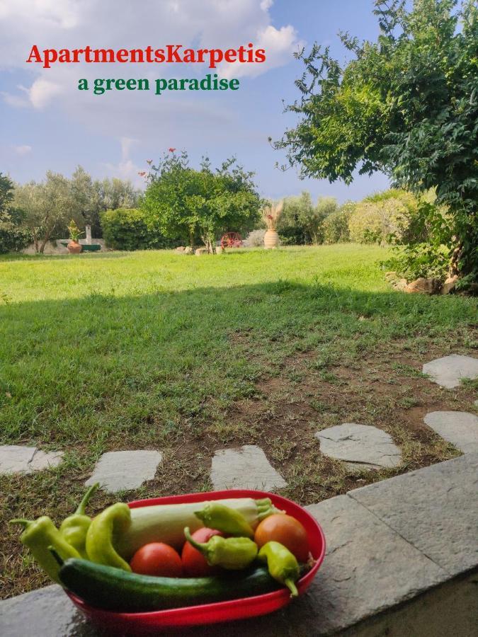 Apartments Karpetis A Green Paradise Psakoúdia Eksteriør bilde